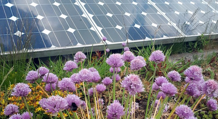 Naturverträgliche Ausbau der Photovoltaik / Freiflächenanlagen