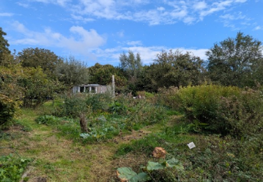 Ausflug in den Umweltkulturpark
